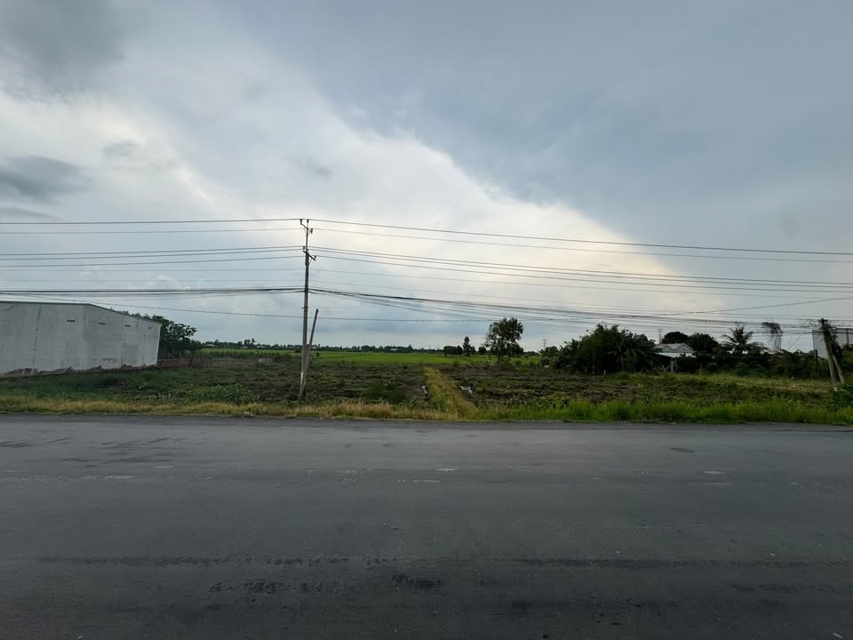 Đất nền Thạnh Hóa, Long An 62m mặt tiền QL62 - Giá thương lượng hấp dẫn!