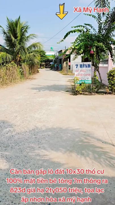 Đất thổ cư 300m² tại ấp Nhơn Hòa, Cần Giuộc chỉ 2.05 tỷ - Cơ hội đầu tư tuyệt vời!