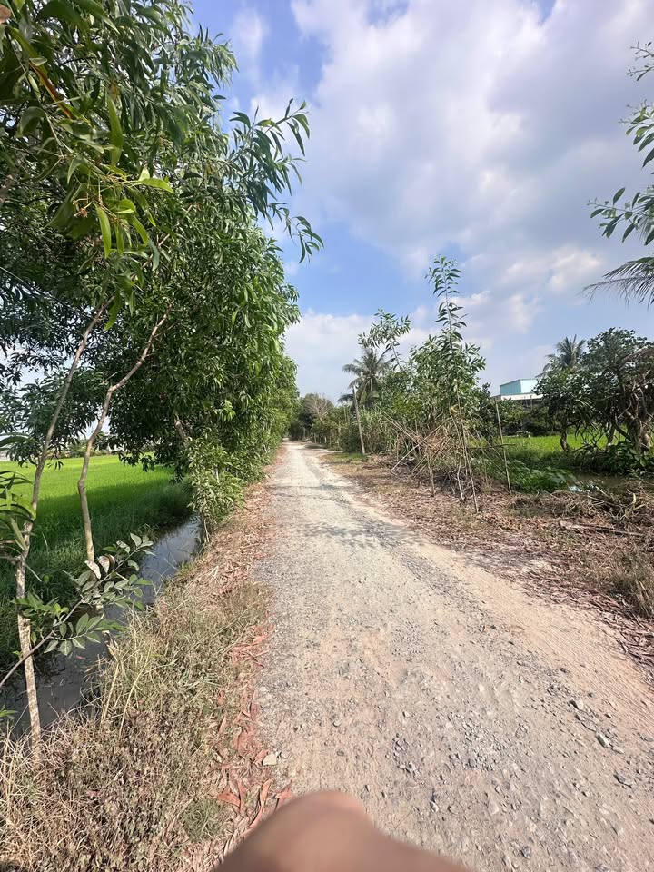 Đất thổ cư Xã Long Thuận 255m² giá 2.85 tỷ - Phù hợp kinh doanh và ở ngay!