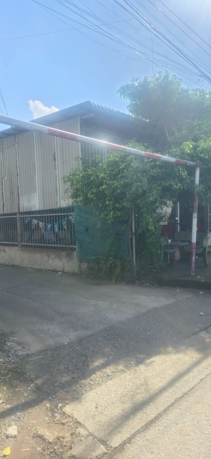 Đất thổ cư 499m² Phước Lợi, Bến Lức, giá chỉ 2.3 tỷ - Đường xe 7 chỗ vào tận nơi!