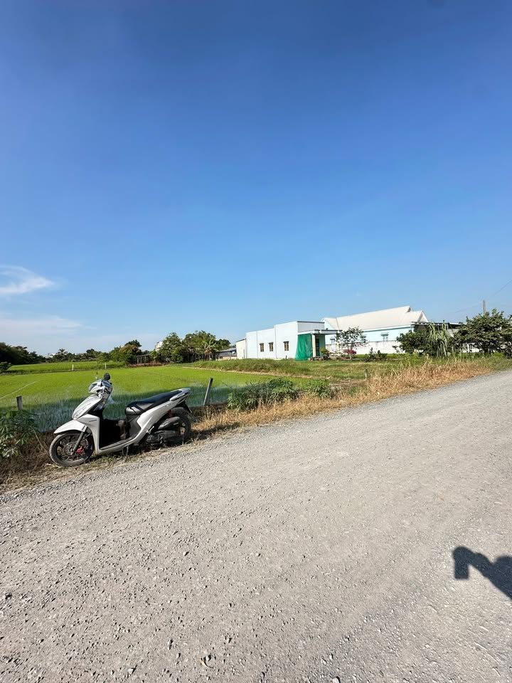 Đất mặt tiền Quốc lộ N2 460m² giá chỉ 2.65 tỷ - Cơ hội đầu tư sinh lời!