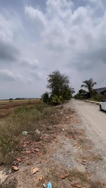 Đất nền Tân Hòa, Tân Thạnh 100m² giá chỉ 350 triệu - Cơ hội vàng cho nhà đầu tư!