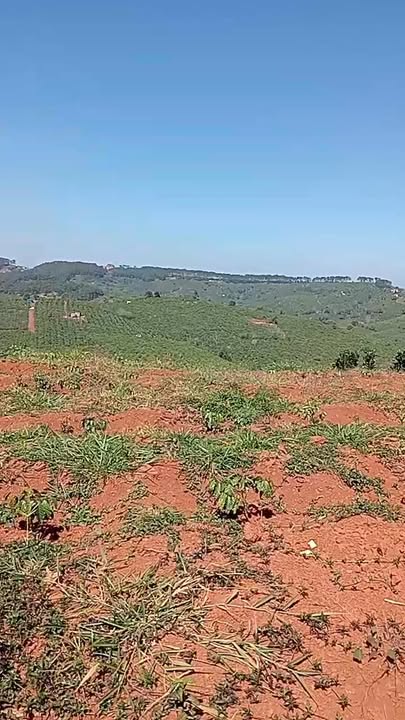 Đất nền Tân Châu 4000m² giá 2 tỷ - Mặt tiền đường chính thuận lợi!