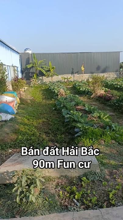 Đất nền Hải Bắc 90m² giá 1.2 tỷ - Cơ hội đầu tư sinh lời