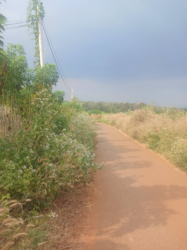 Đất nền xã Xuân Sơn, Châu Đức 360m² giá 850 triệu - Đường nhựa mặt tiền rộng 20m!