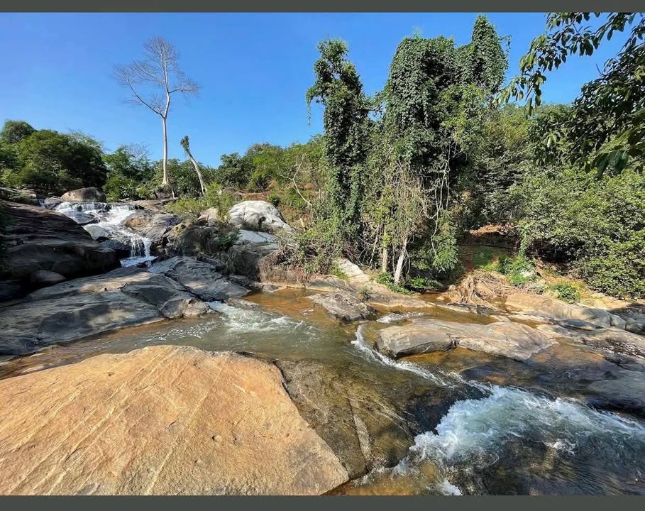 Trang trại 10ha mặt tiền Đông Anh, Đạ Hoai, Lâm Đồng - Giá chỉ 29 tỷ!