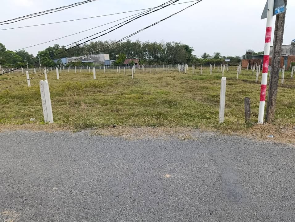 Đất mặt tiền nhựa Kp Xóm Mới, Gò Dầu 105m² giá 560 triệu - Sổ đỏ chính chủ, đất sạch sẽ!