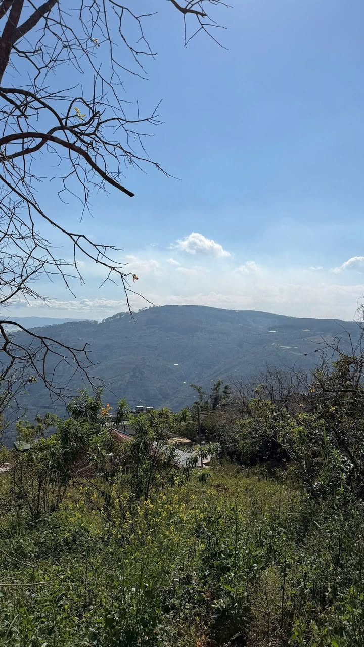 Đất nền Trạm Hành Đà Lạt 1000m² giá 10 tỷ - Sổ hồng riêng, view săn mây!