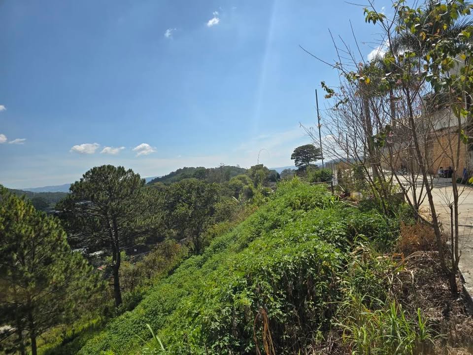 Bán đất hẻm 3/4 Đà Lạt 1100m² giá 35 tỷ - Vị trí hiếm có!