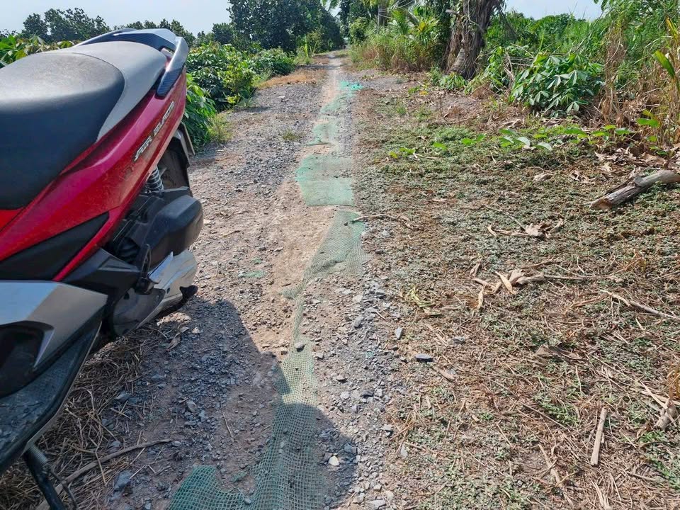 Đất Farm 10.000m² tại Mỹ Hiệp, Cao Lãnh - Giá 3.2 tỷ, Sổ riêng nhanh gọn!