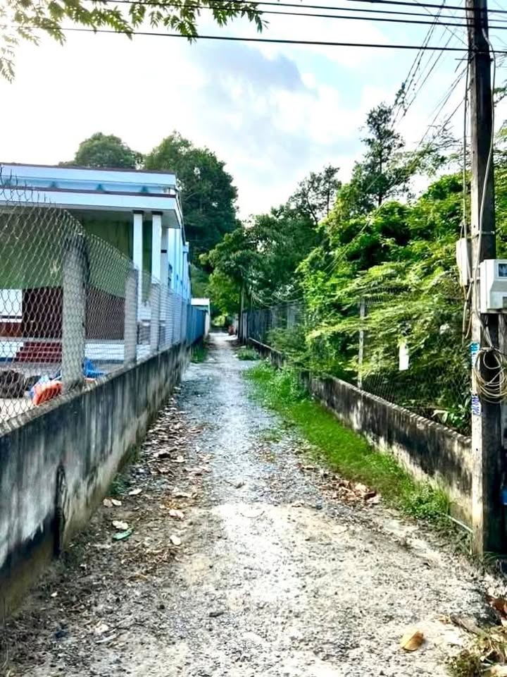 Đất nền hẻm ô tô tại Phường Trà Vinh 126m² - Giá chỉ 300 triệu!