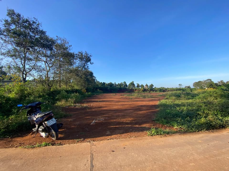 Đất ở hẻm Lý Chính Thắng, An Phú, Pleiku 420m² - Giá chỉ 9xx triệu!