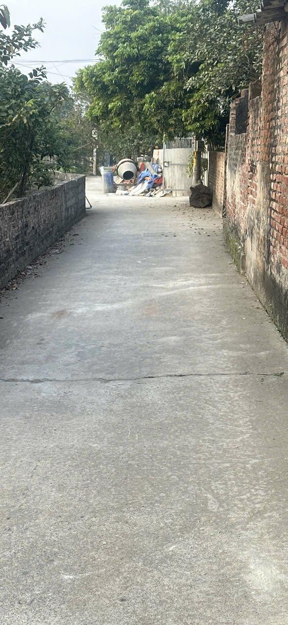 Đất nền 65m² tại xã Chương Dương, huyện Thường Tín - Cơ hội đầu tư tốt!