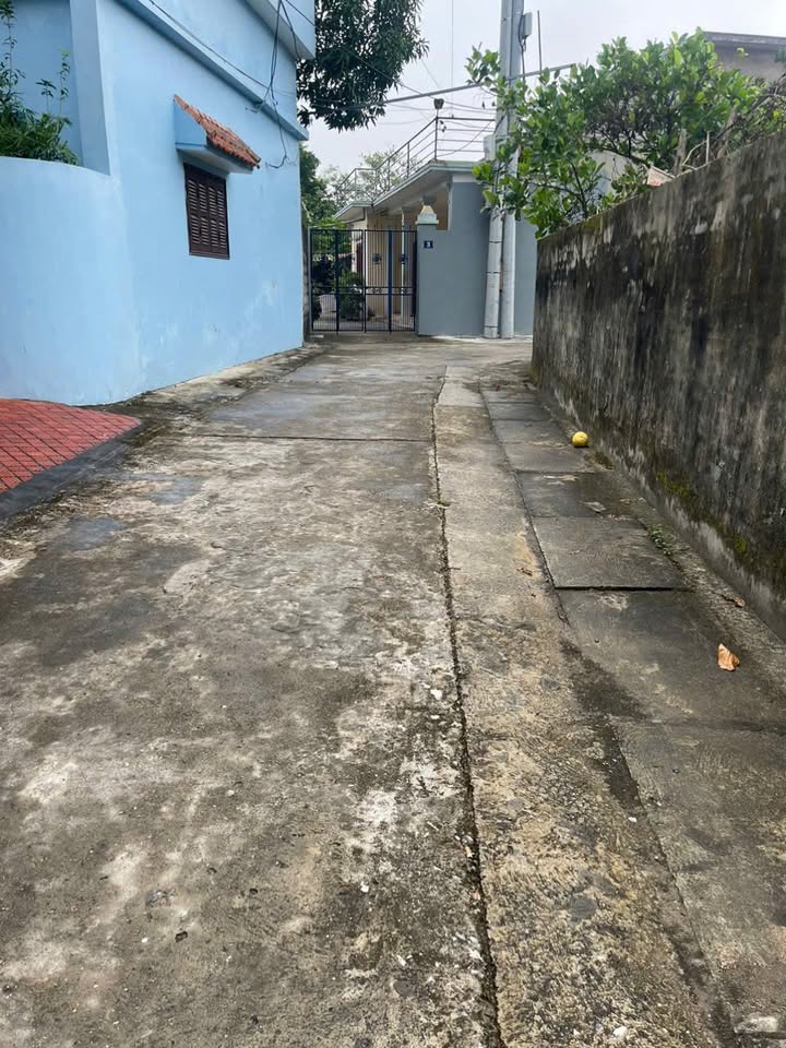 Nhà riêng Phong Triều, Nam Phong, Phú Xuyên 99.8m² giá 2.5 tỷ - Khu dân cư sầm uất, tiện ích đầy đủ!