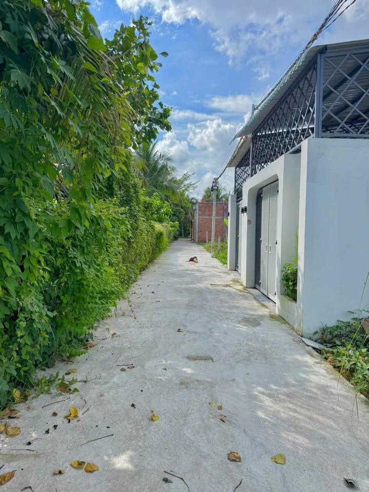 Đất nền Phường Long Hòa, Gò Công, 80m² giá chỉ 800 triệu - Đầu tư sinh lời ngay!