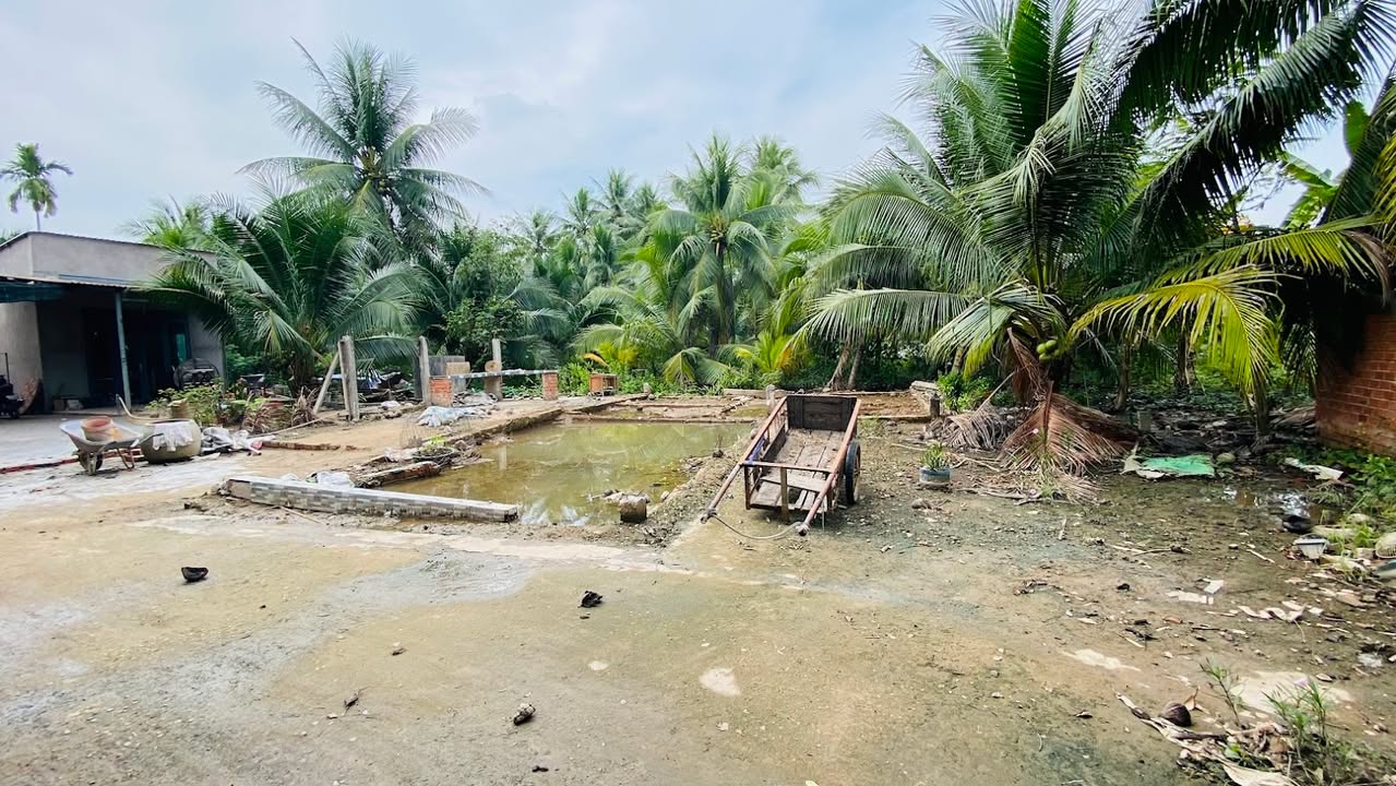 Đất nền 1,240m² tại Phường Phú Tân, Bến Tre - Sổ hồng chính chủ, giá chỉ 950 triệu!