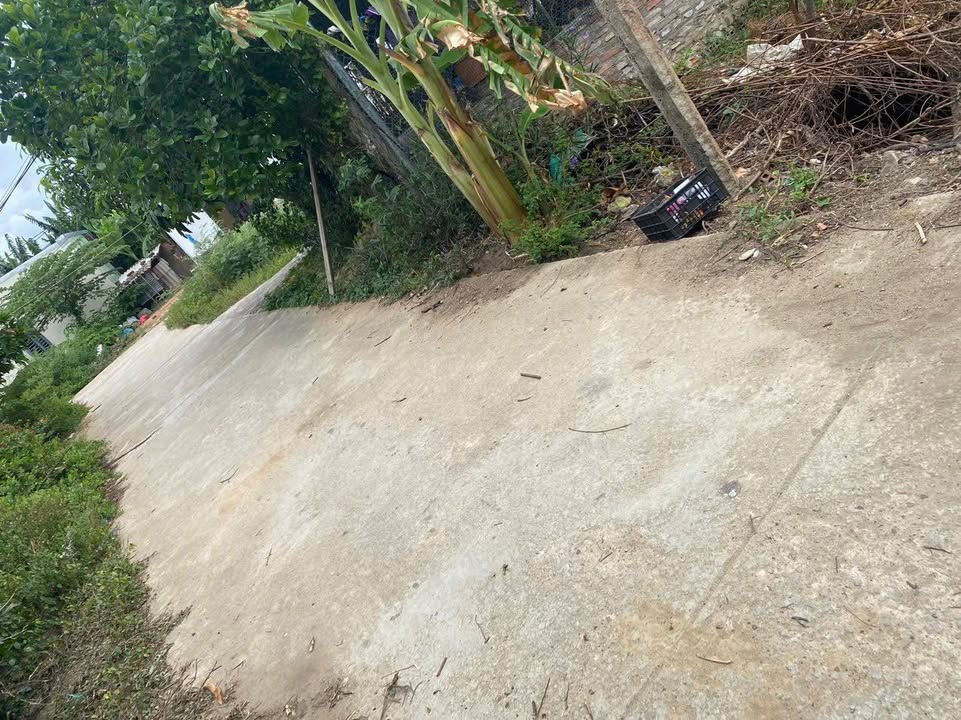 Đất nền xã Cát Hưng, huyện Phù Cát 200m² giá chỉ 4xx triệu - Cơ hội đầu tư tuyệt vời!