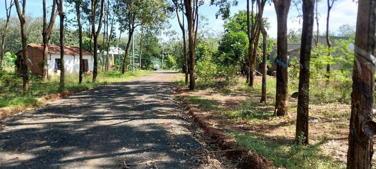 Đất nền 175m² phường Đồng Xoài giá chỉ 400 triệu - Đầu tư sinh lời ngay!