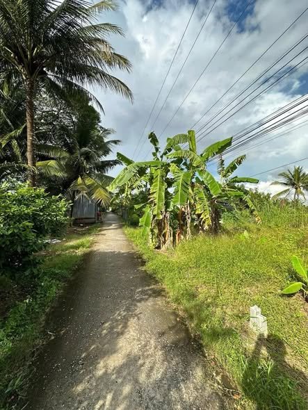 Đất nền Đông Thuận, Thới Lai, Cần Thơ 351m² - Giá chỉ 450 triệu, sổ đỏ chính chủ!