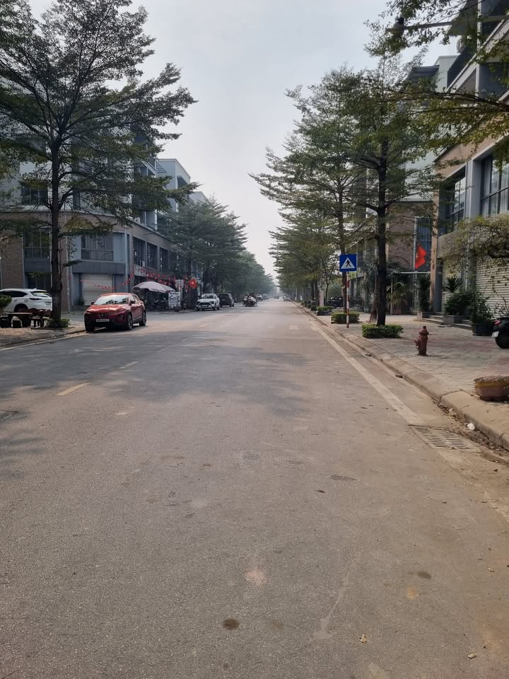 Shophouse 100m² 5 tầng TMS Phúc Yên - Cơ hội đầu tư hấp dẫn!