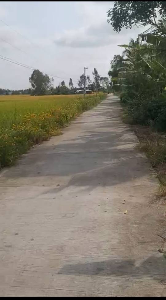 Đất nền mặt tiền xã Tài Văn, 300m² giá 349 triệu - Sổ hồng chính chủ!