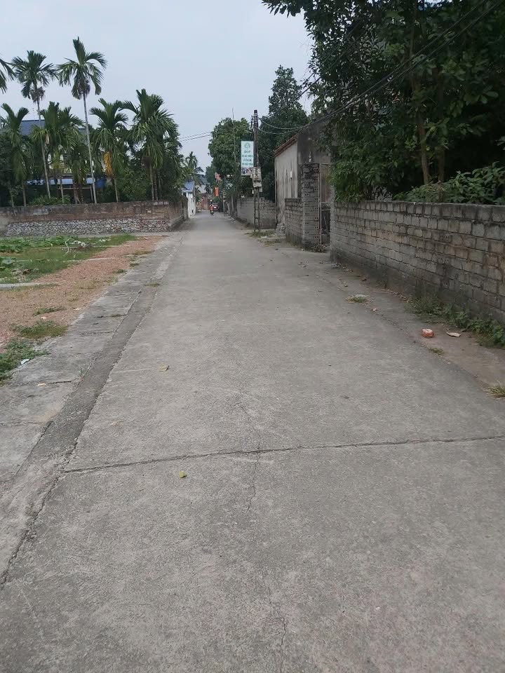 Đất nền xã Hợp Thanh, Mỹ Đức 74.5m² giá 1 tỷ - Cơ hội đầu tư tuyệt vời!