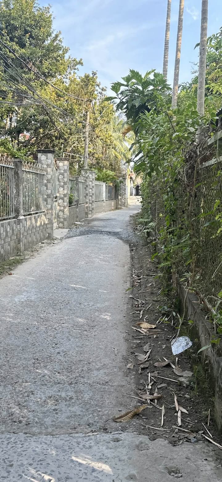 Đất nền An Bình, Ninh Kiều 320m² giá chỉ 1,6 tỷ - Đầu tư sinh lời ngay!