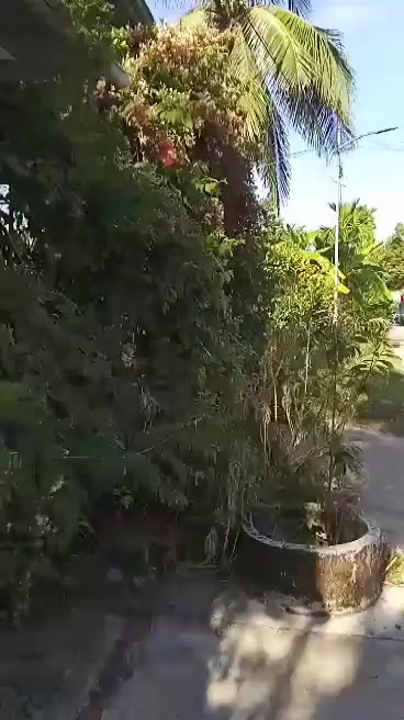 Đất nền 260m² tại Quận Liên Chiểu, Đà Nẵng - Giá chỉ 850 triệu, đẹp lung linh!