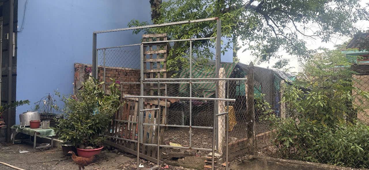 Lô đất đầu tư tại Xuân Thới Sơn, Hóc Môn 400m² giá chỉ 16.8 tỷ - Cơ hội hiếm có!