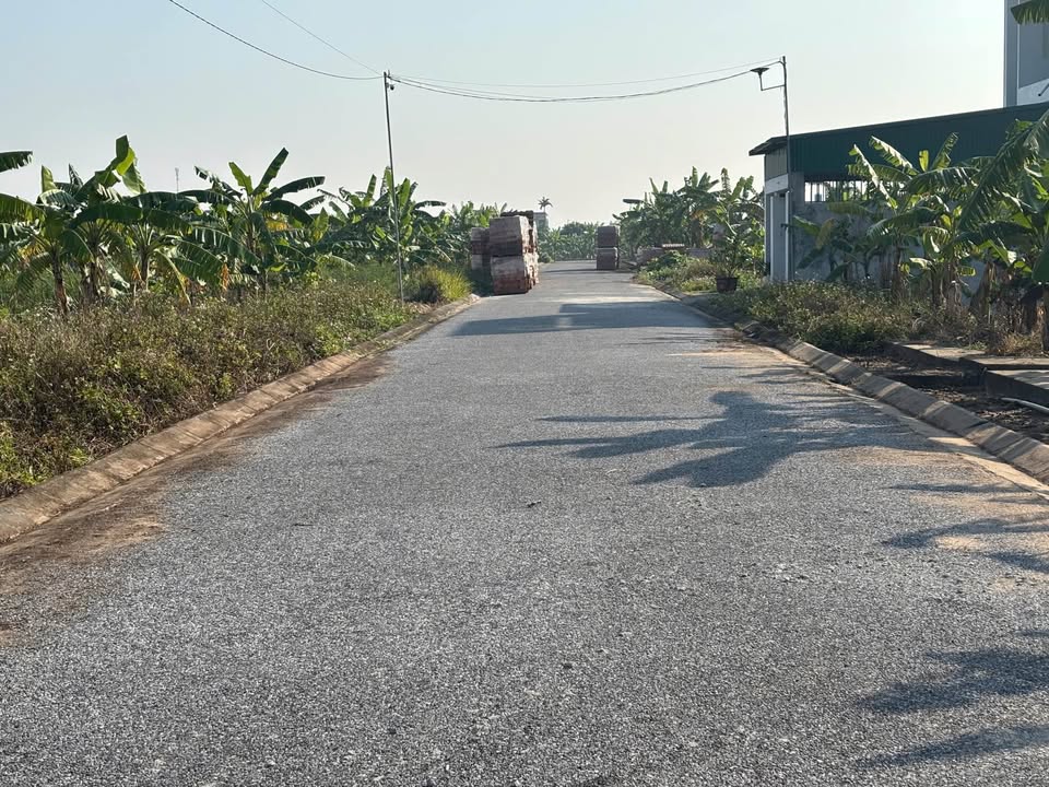 Đất nền lô góc 140m² giá chỉ 1.2 tỷ tại Tiền Hải – Cơ hội hiếm có!