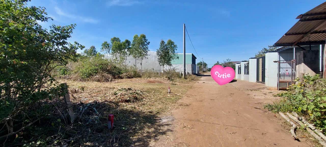 Đất nền chính chủ tại Làng Phun, Xã Biển Hồ, 150m² chỉ từ 300 triệu - Cơ hội đầu tư hấp dẫn!