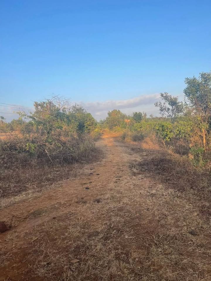 Đất nền 21.200m² tại Thị trấn Ia Kha, Huyện Ia Grai - Giá chỉ 5.25 tỷ VND!