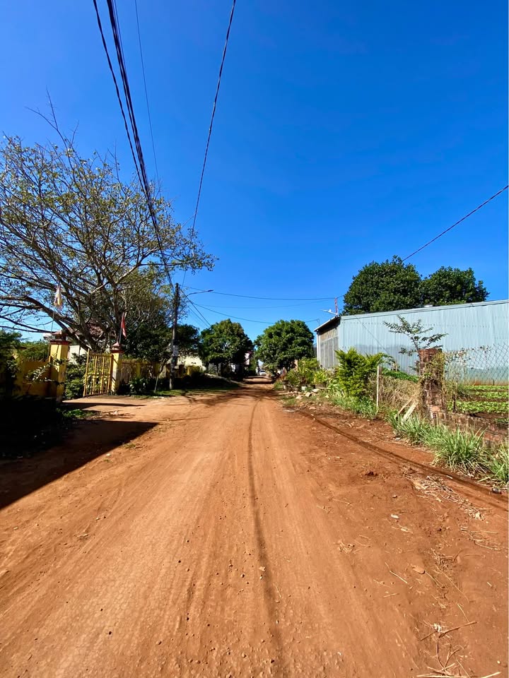 Đất ở hẻm 101 Lý Nam Đế, Pleiku 150m² giá 1.25 tỷ - Tiềm năng đầu tư lớn!