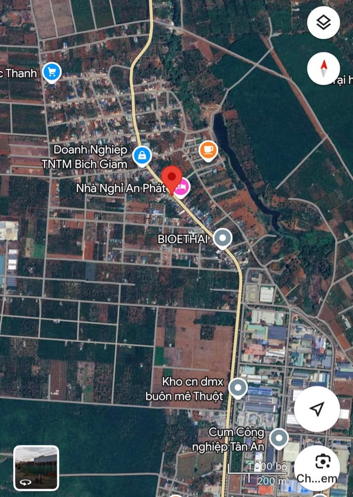 Đất Farm 784m² tại Tỉnh Lộ 8, Xã Cư Suê - Kinh doanh thuận lợi chỉ 12 tỷ!