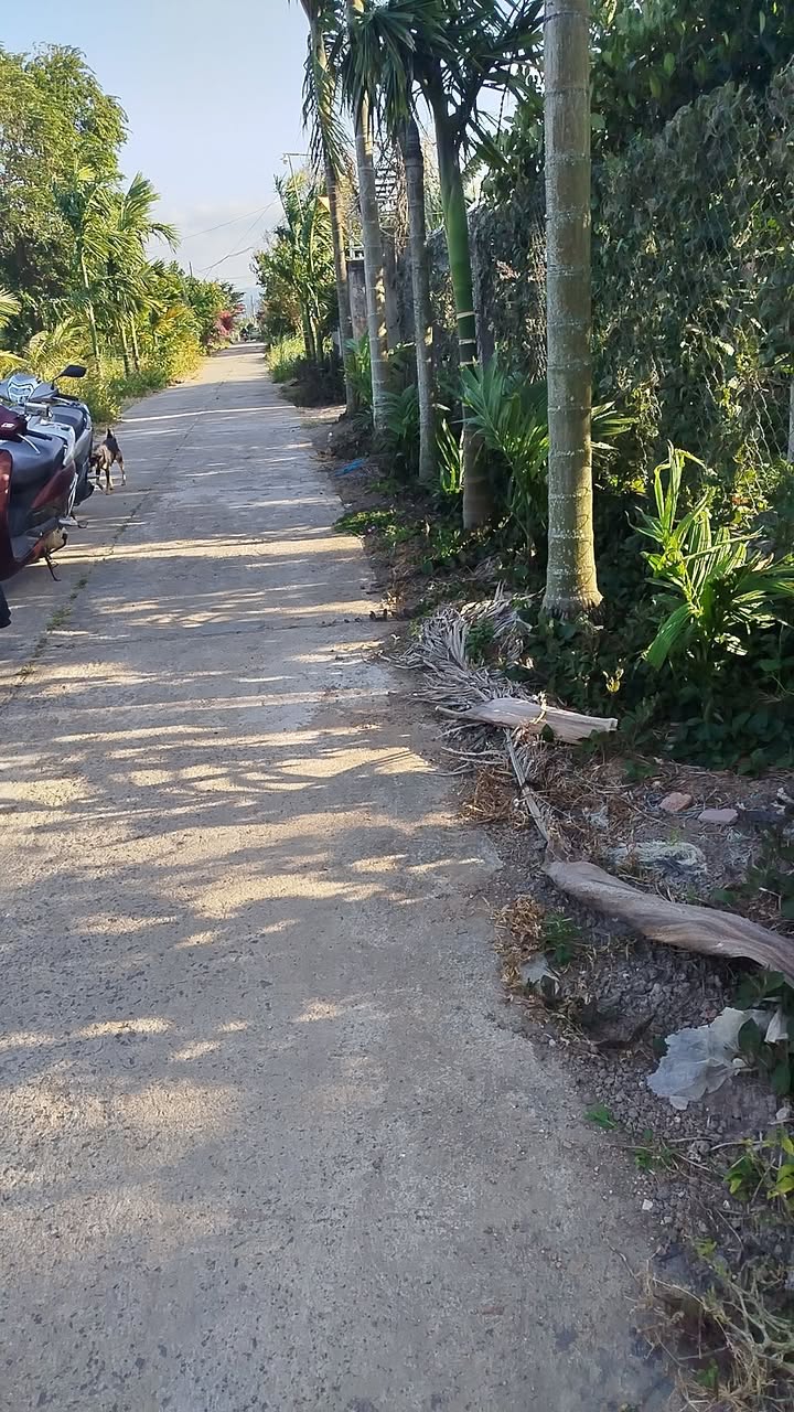 Đất nền 2 mặt tiền Thị trấn Liên Sơn 120m² giá 1.3 tỷ - Cơ hội đầu tư lý tưởng!