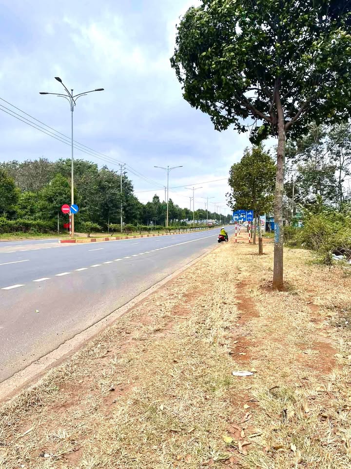 Mặt Tiền Kinh Doanh Đường Vành Đai 10/3 Buôn Ma Thuột 1230m² - Đầu Tư Sinh Lời Ngay!