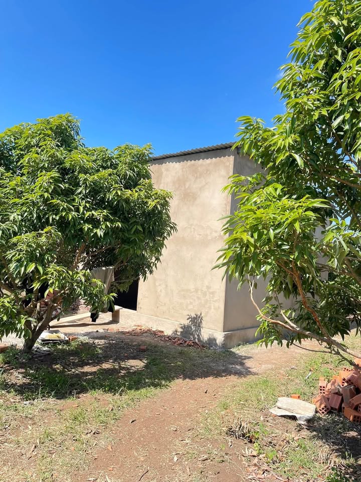 Farm 8.000m² tại xã Ea H'leo, Đắk Lắk - Giá chỉ 1.5 tỷ, ô tô vào tận nơi!