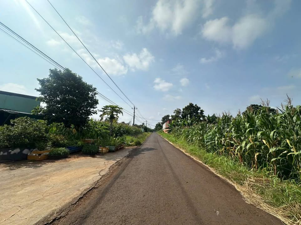 Đất thổ cư mặt tiền Thôn 3 Cư Suê 125m² giá 600 triệu - Đầu tư sinh lời tiềm năng!