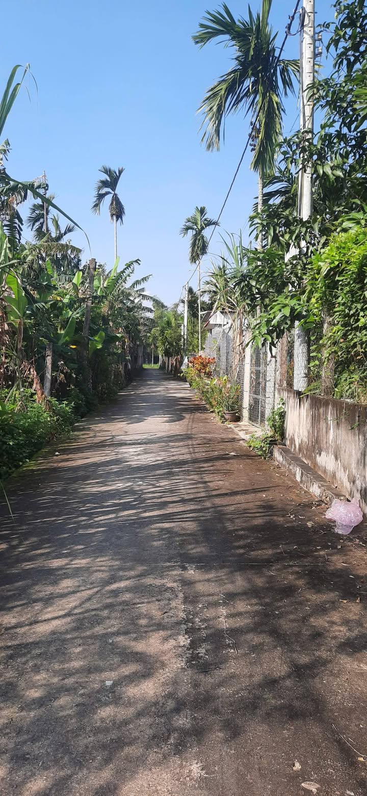 Đất nền An Hà 1 200m² giá 600 triệu - Đầu tư sinh lời tuyệt vời!