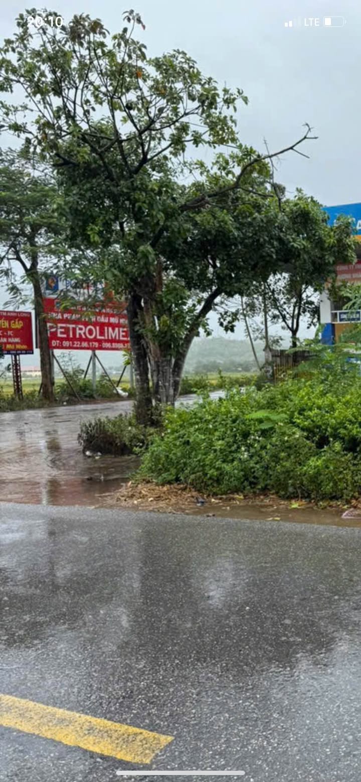 Đất nền dự án tại Minh Quang, Tam Đảo - 60m² giá chỉ 7xx triệu - Cơ hội đầu tư hấp dẫn!