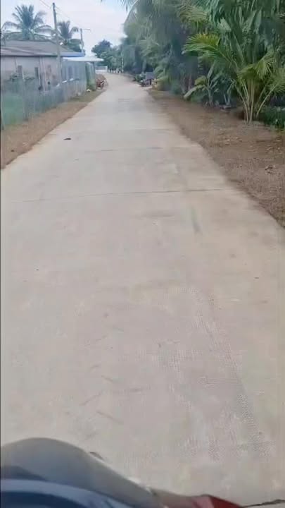 Đất Farm 2,1 công tại Mỹ Thạnh, Ba Tri - Giá chỉ 370 triệu!