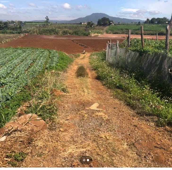 Đất nông nghiệp 1.700m² tại N'Thol Hạ, Đức Trọng - Giá 1.5 tỷ, thương lượng chính chủ!