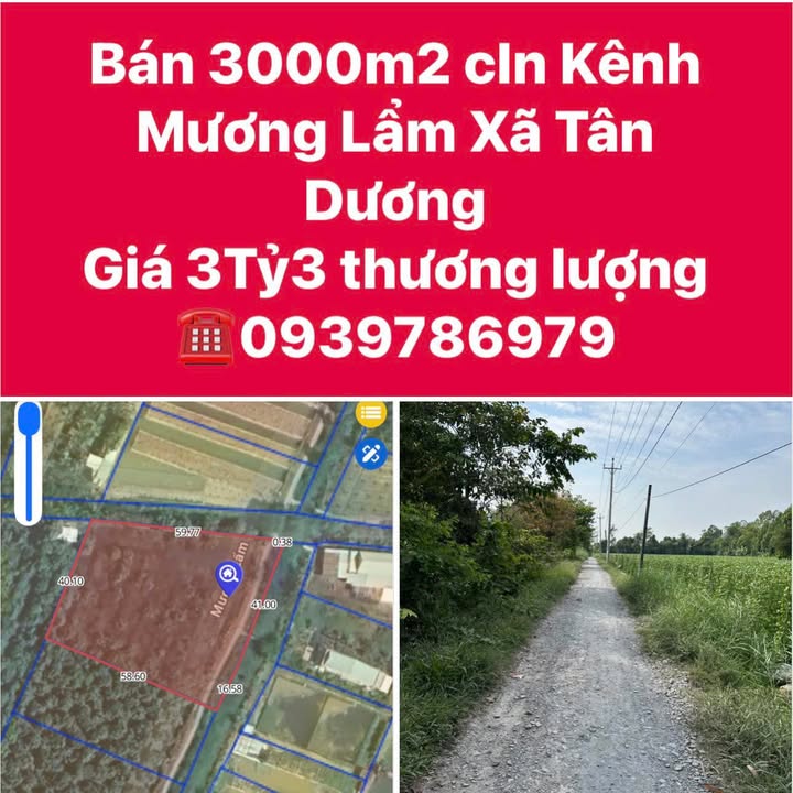 Đất CLN 3000m² tại Kênh Mương Lẩm, Tân Dương giá 3.3 tỷ - Cơ hội đầu tư hấp dẫn!