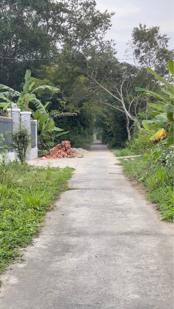 Bán đất mặt tiền hẻm 1226, Phường 10, Sóc Trăng - Diện tích 2052m² giá chỉ 2.1 tỷ!