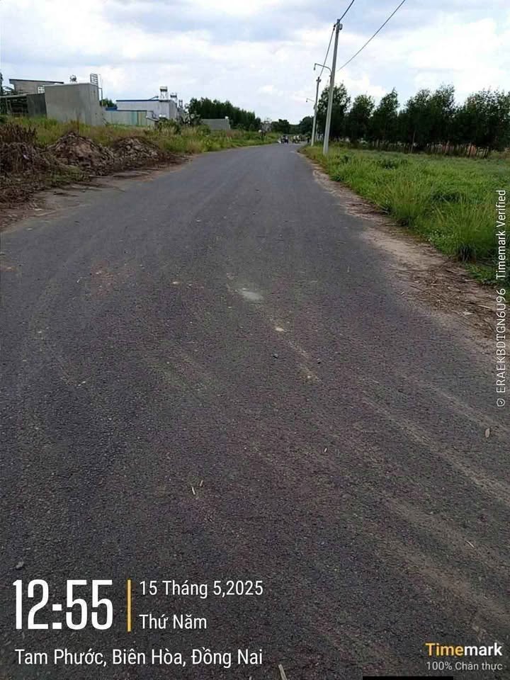 Đất nền Tổ 5, Phường Tam Phước 100m² - Giá chỉ 350 triệu, đầu tư ngay!