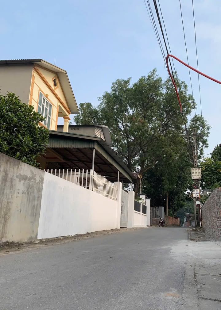 Đất nền lô góc Quất Lưu - Bình Xuyên 98m² giá 1.5 tỷ - Tiềm năng sinh lời cao!