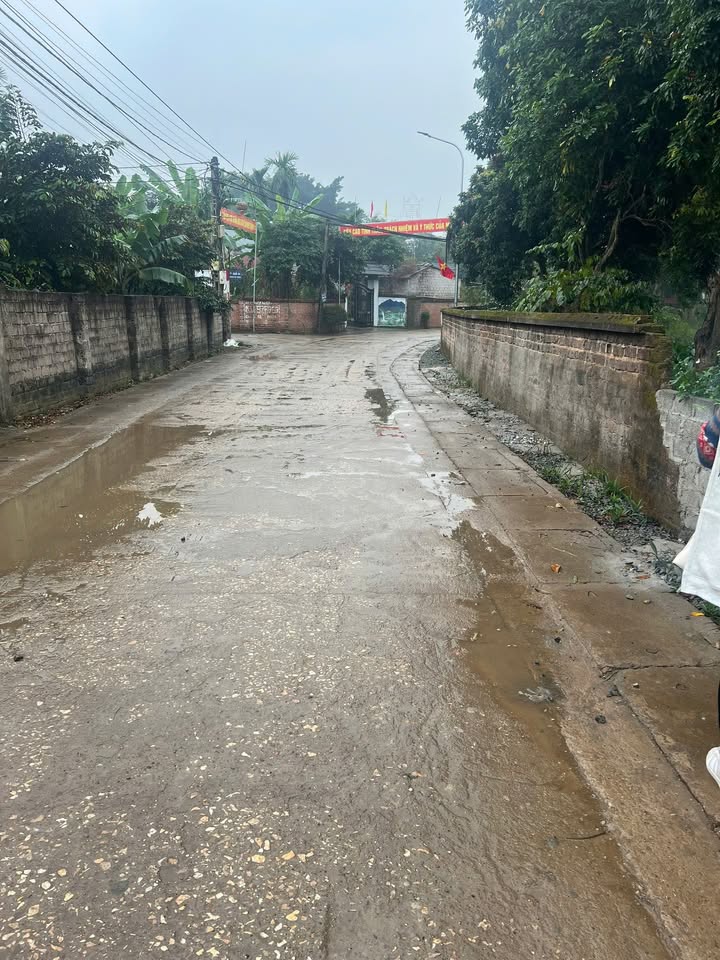 Đất nền Liên thôn, Ba Vì 9000m² giá chỉ vài triệu/m² - Tiềm năng đầu tư lớn!