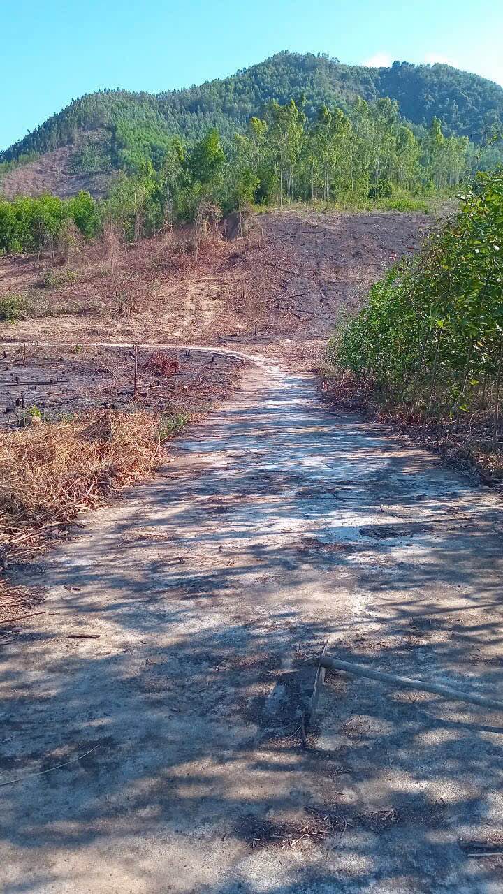 Bán đất vườn Diên Tân, Diên Khánh 614m² giá 320 triệu - Đường ô tô vào tận nơi!