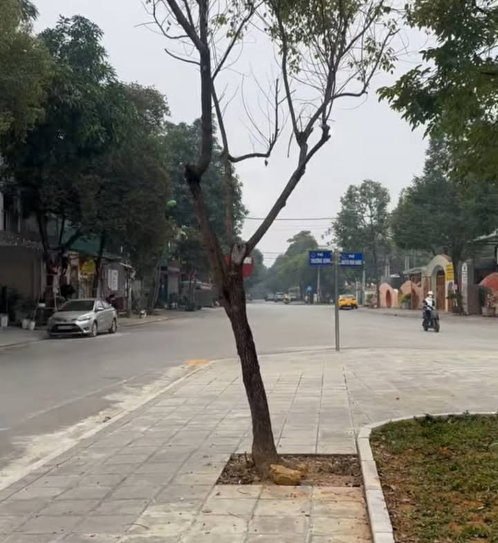 Đất nền Trương Định, Bắc Cường 91m² giá 3.5 tỷ - Siêu hiếm, view công viên!