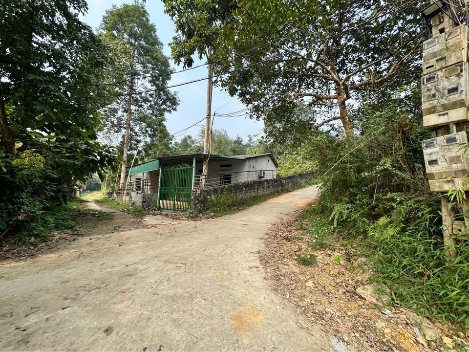 Đất nền Cốc San Lào Cai 500m² giá 1.25 tỷ - Đầu tư sinh lời hấp dẫn!